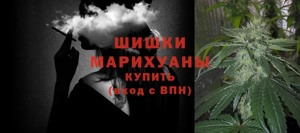 ешки Арсеньев