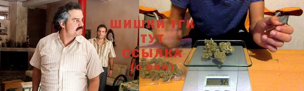 ешки Арсеньев