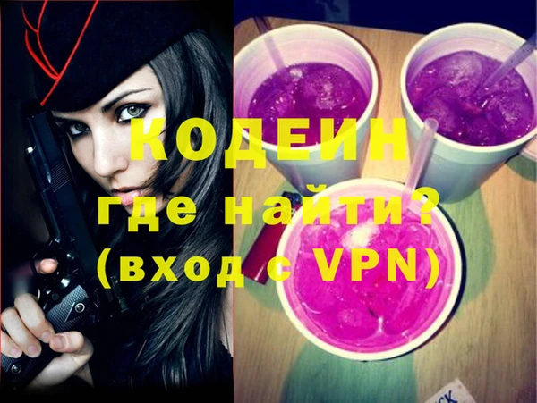 apvp Няндома