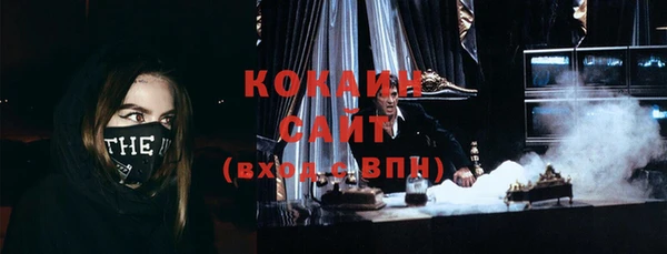 apvp Няндома