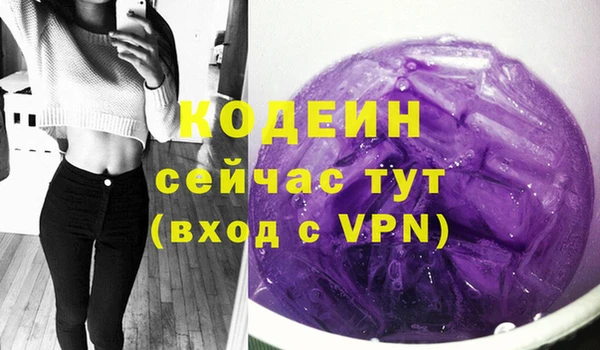 apvp Няндома
