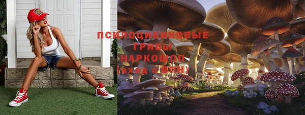 spice Алзамай